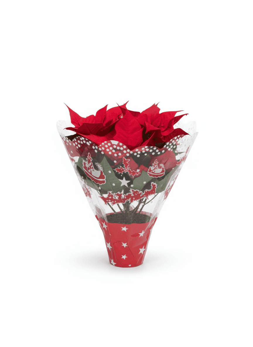 Plante ușor de îngrijit